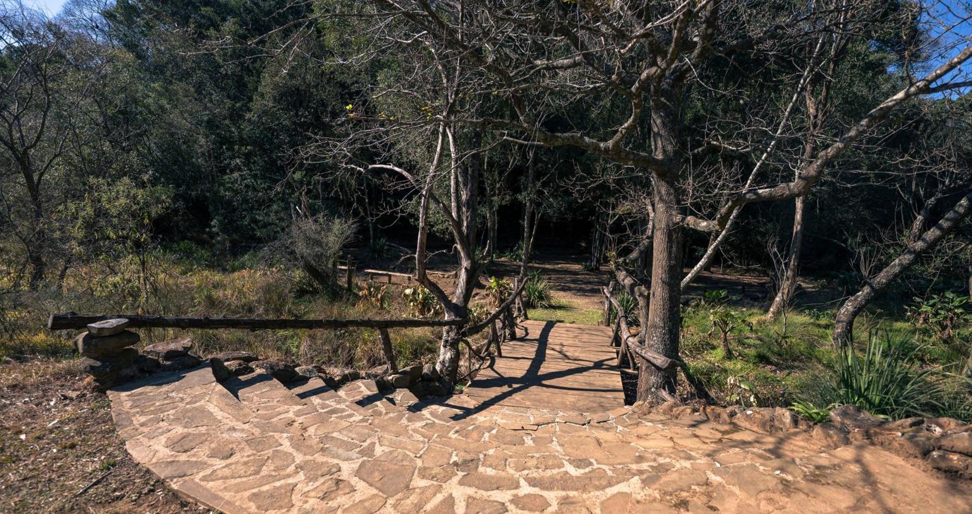 Anew Resort Ingeli Forest Kokstad Kokstad  Extérieur photo